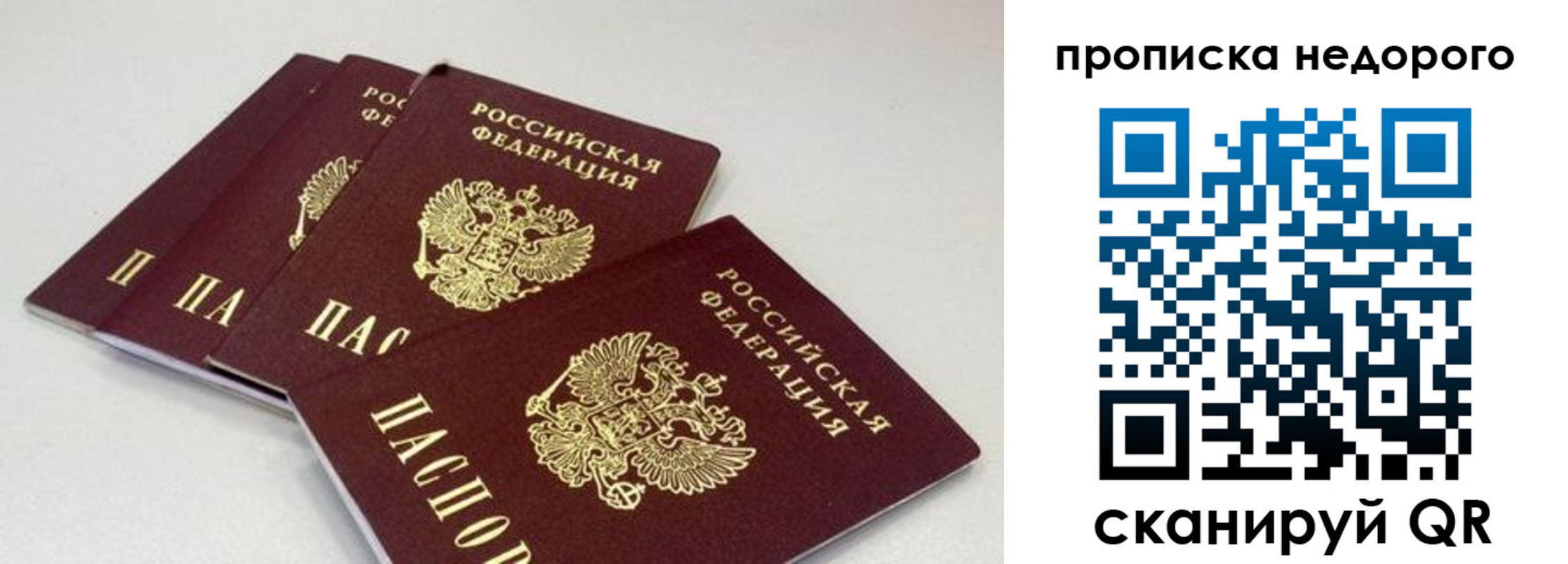 прописка штамп в Светогорске