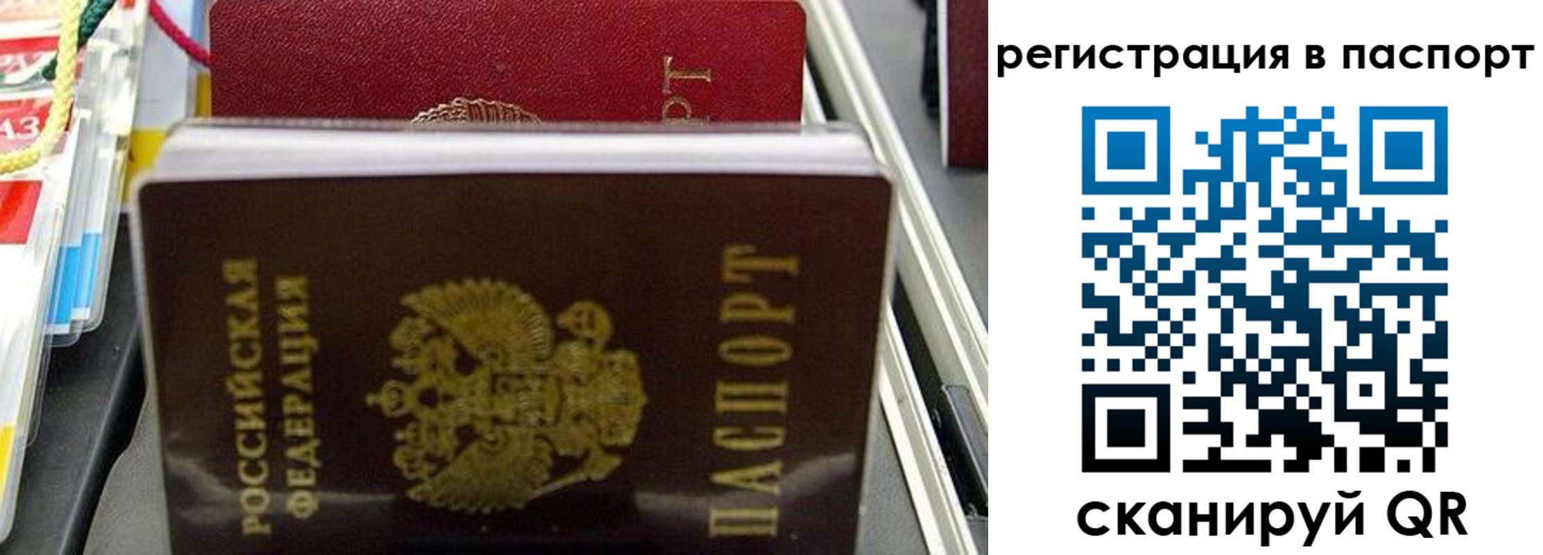 прописка для школы в Светогорске